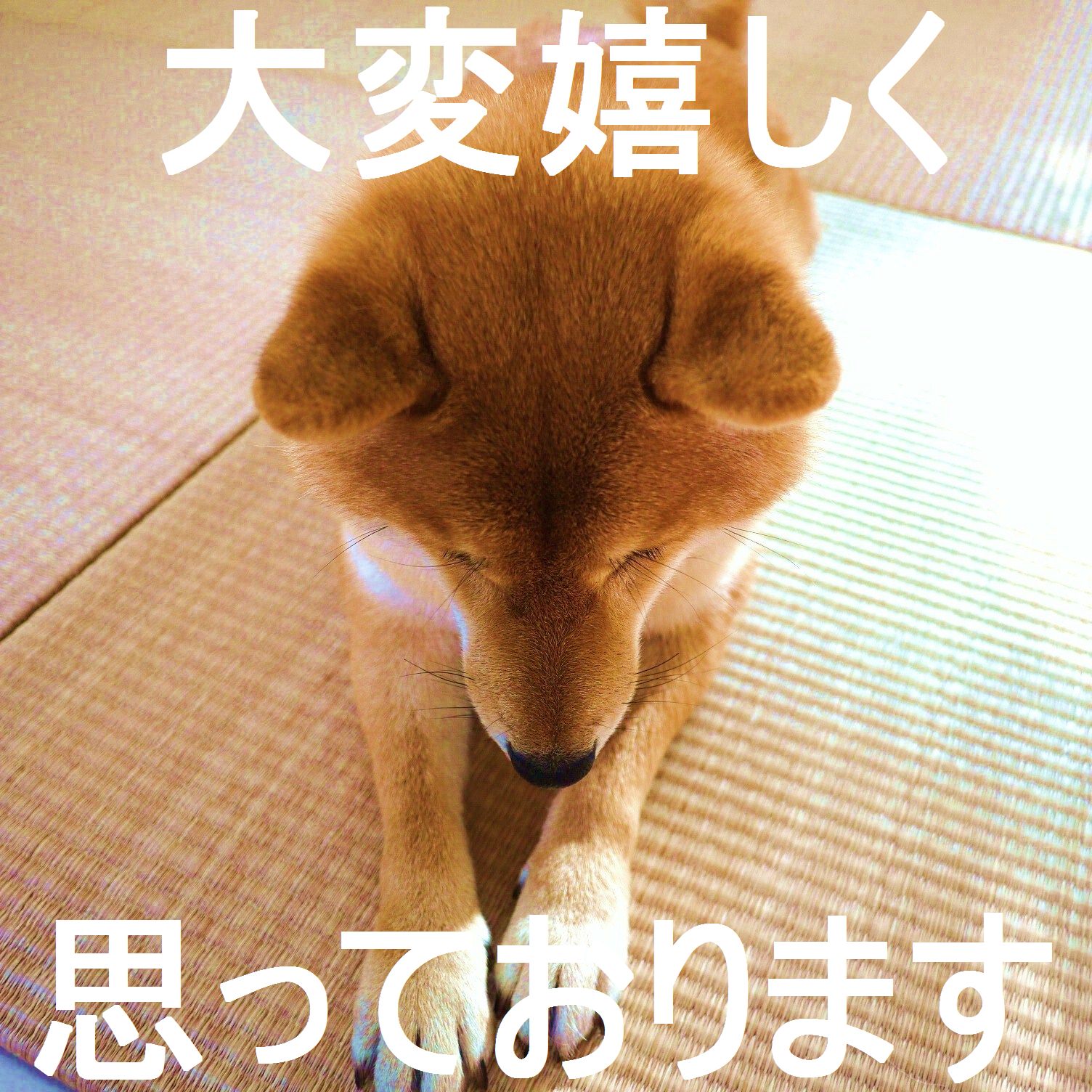ありがとうございました ５丁目の小梅さん