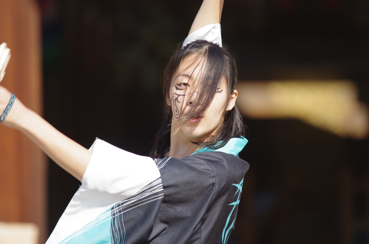 龍馬よさこい２０１１二日目京都霊山護国神社会場その９（旦那組）_a0009554_21142399.jpg