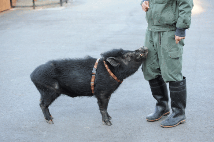 今年最後の動物園_b0023856_724586.gif