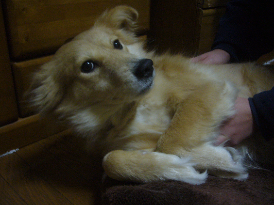 f0087256_1874351.png