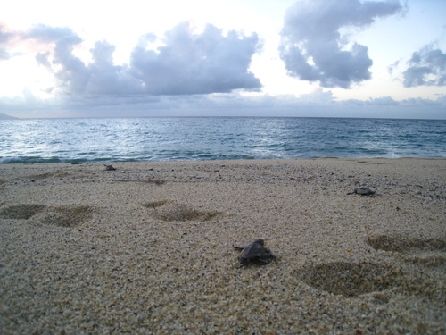b0160957_95272.jpg
