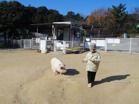 みさき公園を孫と一緒に楽しむ_c0108460_17595434.jpg