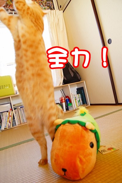 大晦日になりました。_a0201967_22153930.jpg