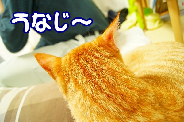 大晦日になりました。_a0201967_22155128.jpg