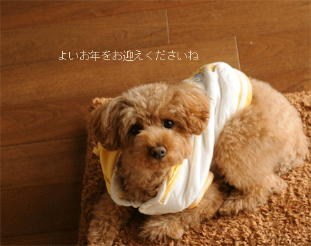 c0196673_1525265.gif