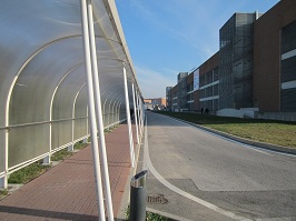 e0212073_0442858.jpg