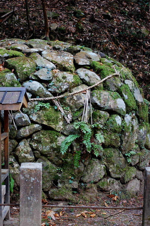 パワースポット！2011年　走り納めは神社と滝となりました(^_-)-☆_d0179983_1434676.jpg