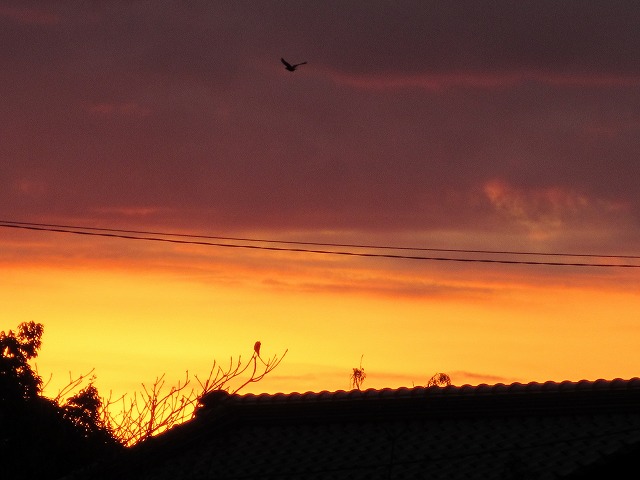 b0182884_852114.jpg