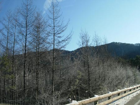 a0130586_162158.jpg