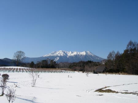 a0130586_1654516.jpg