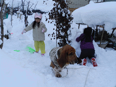 f0205887_19583860.gif