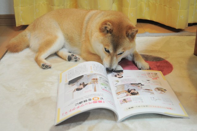 かぼす家2011年10大ニュース!!_a0126590_9505529.jpg