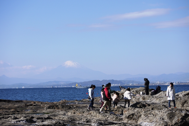 江の島散策_a0127090_1723737.jpg