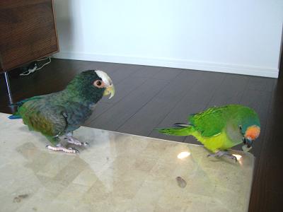 f0234590_9302319.jpg