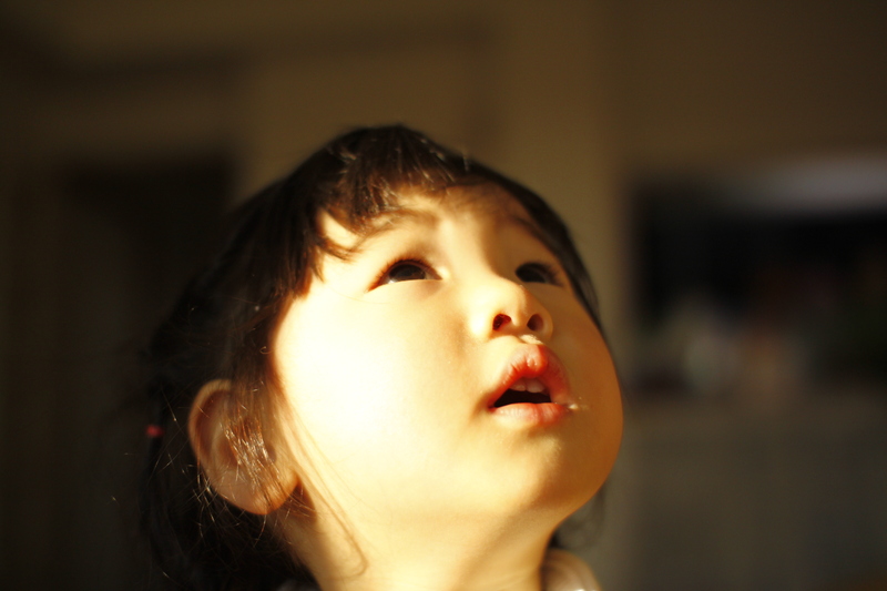 d0188294_20222064.jpg