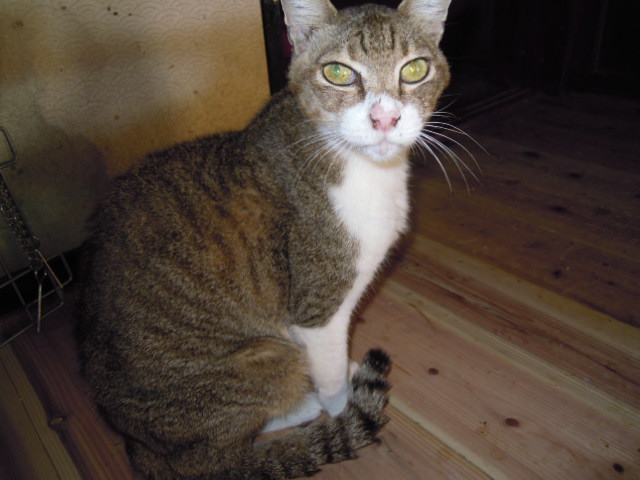 f0077595_11184029.jpg