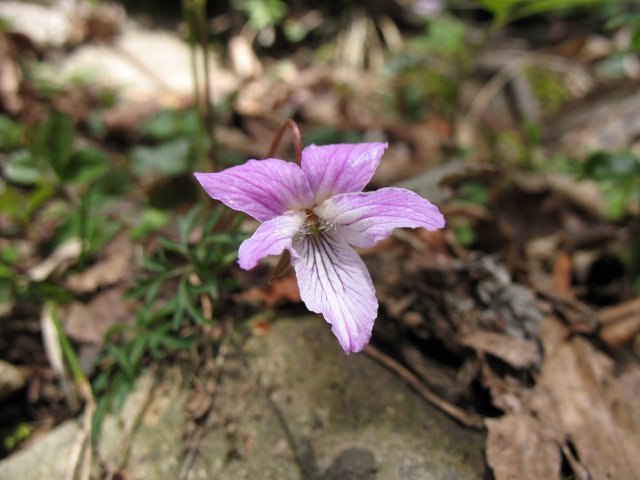 a0246703_0175950.jpg