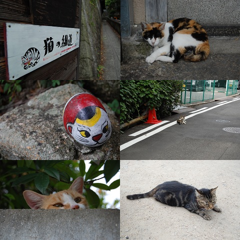 b0189603_1135203.png