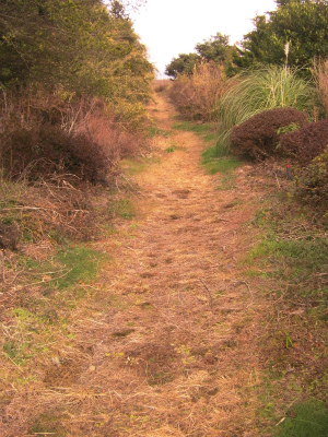 e0183004_17262593.jpg