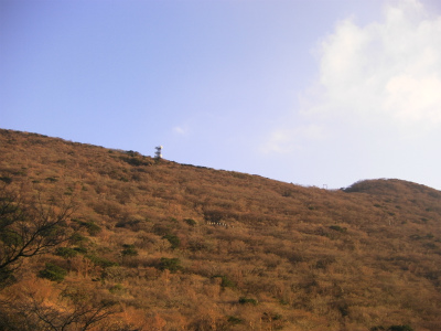 e0183004_17341418.jpg