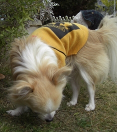 c0132205_21173597.jpg