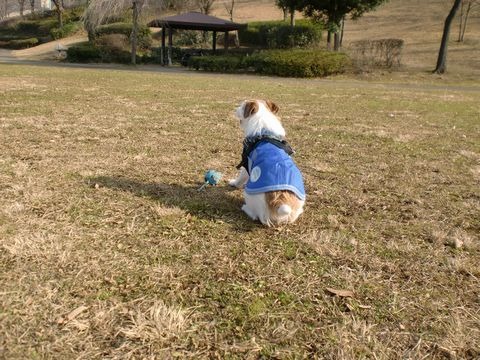 a0040708_2282856.jpg