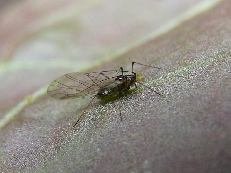 d0010008_2043925.jpg
