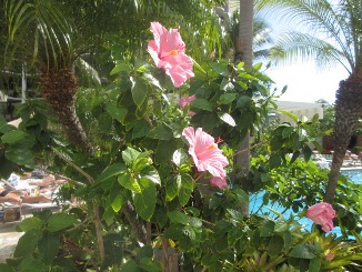 ★A HAPPY NEW YEAR 2012\'_d0091909_83220100.jpg