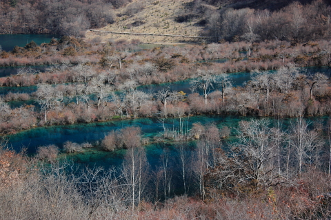 d0077811_11592166.jpg
