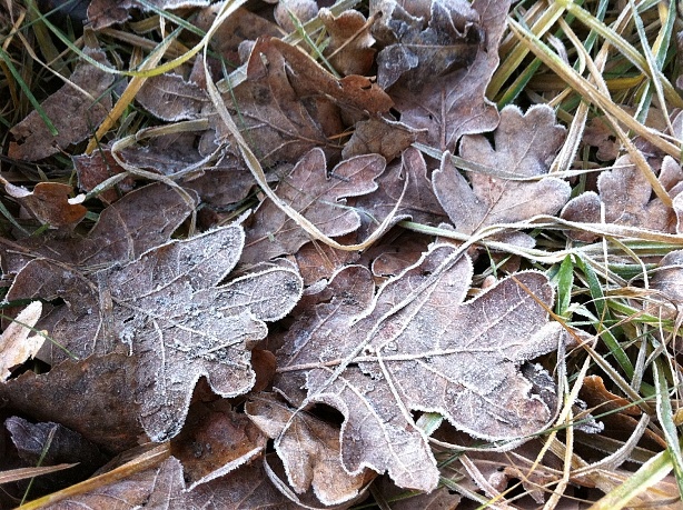 e0250023_957492.jpg
