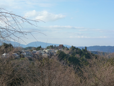 元旦_a0228333_2221126.jpg