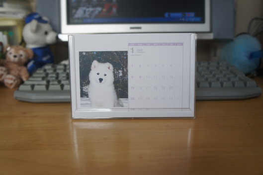 謹賀新年_f0128542_9545980.jpg