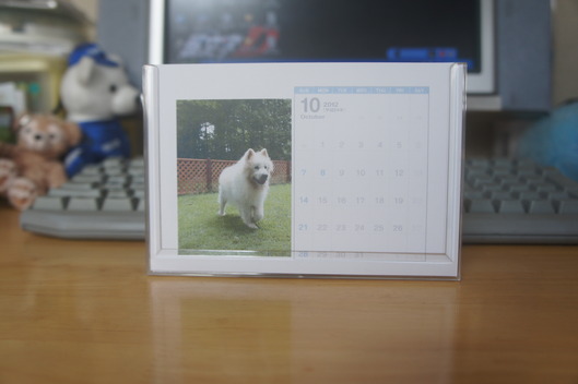 謹賀新年_f0128542_9585233.jpg