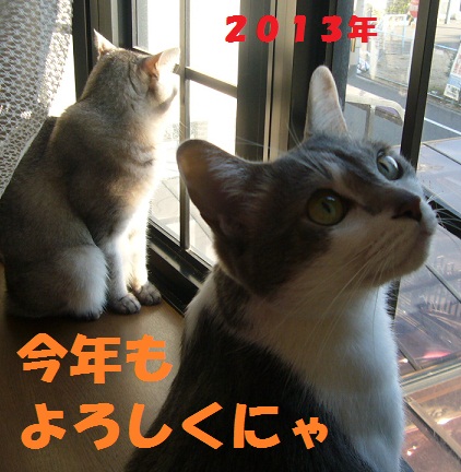 新年_f0002743_1744545.jpg