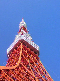 東京タワー!_d0004447_20552519.jpg