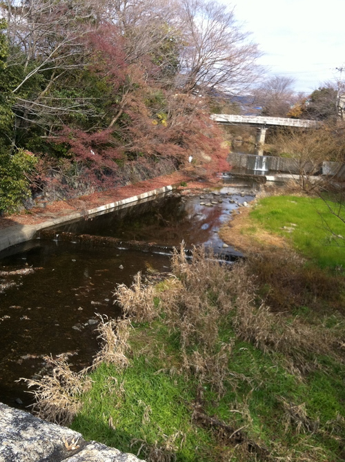c0185356_15334259.jpg