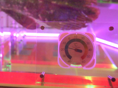 d0068664_121311100.jpg