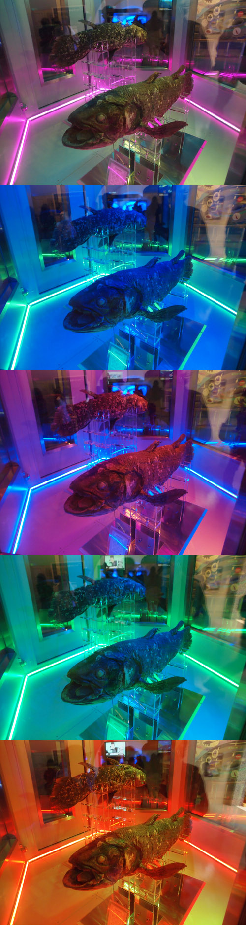 d0068664_1292397.jpg