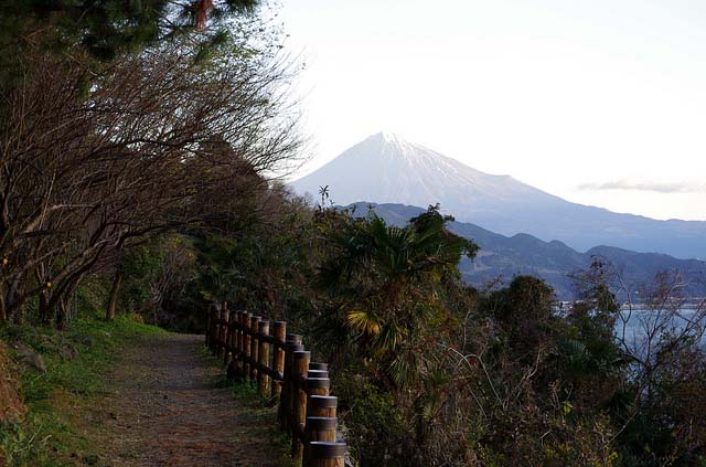 Satta touge okitsu (shimizu) 薩唾峠 興津（清水区）_f0208665_1181052.jpg