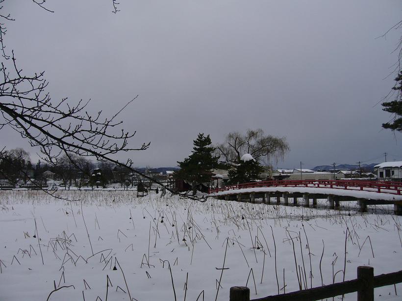 c0198781_14312233.jpg
