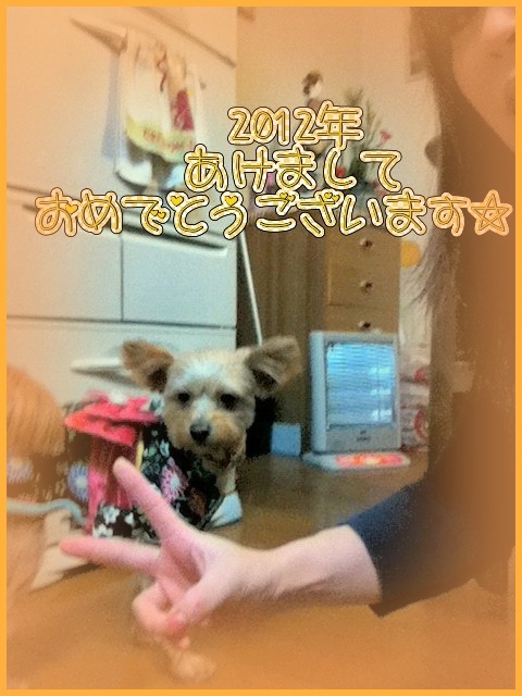 ★よろしく2012★_d0162684_18134392.jpg