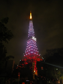2012年 スタートです_d0132289_28898.jpg