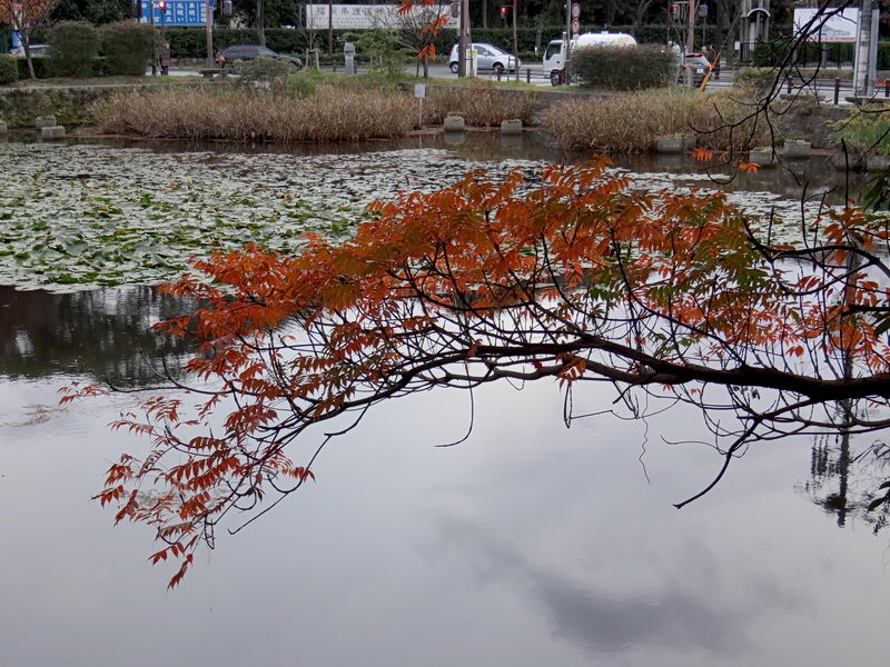 f0204094_20143257.jpg