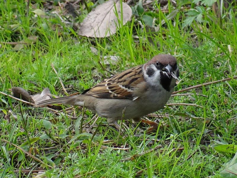 f0204094_2094339.jpg