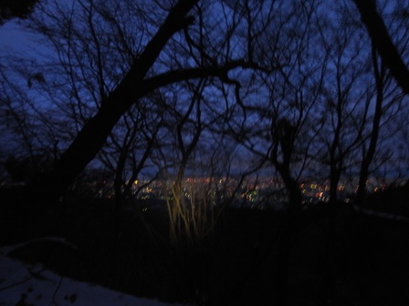 謹賀新年!2012!_e0111396_23101720.jpg