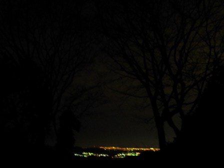 謹賀新年!2012!_e0111396_23224891.jpg