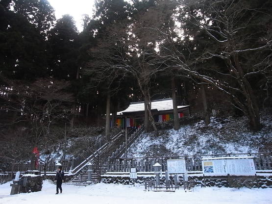 謹賀新年!2012!_e0111396_23415992.jpg