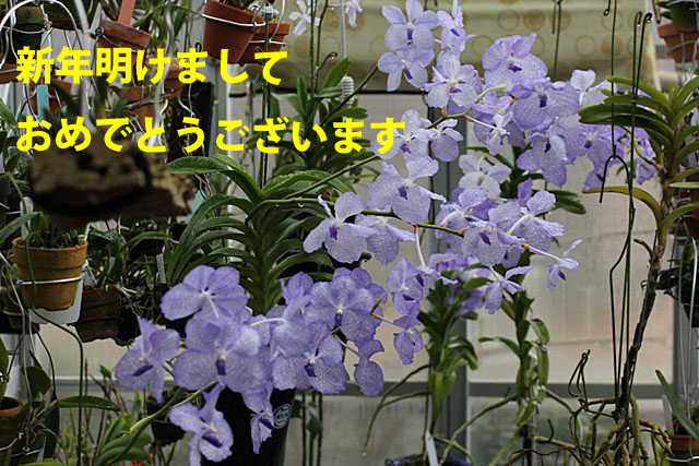 d0007501_1071313.jpg