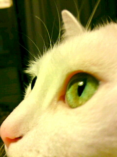 d0023103_23364893.jpg