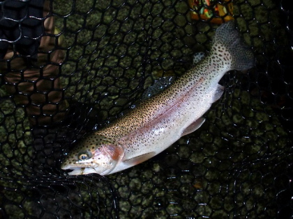 c0023804_2134638.jpg